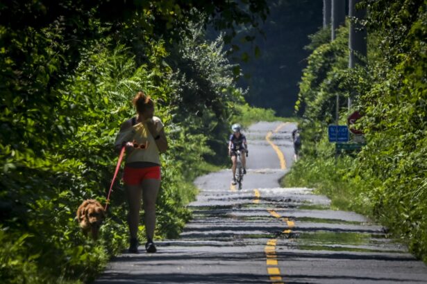The science behind the heat dome — ‘a mosh pit’ of molecules