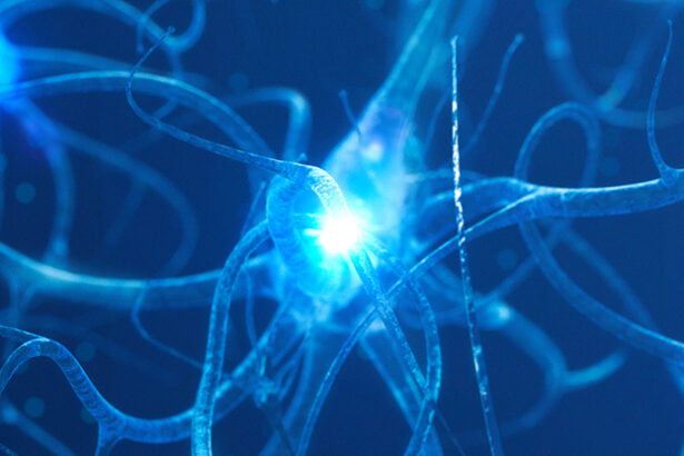 These 4 Distinct Patterns May Signal Alzheimer’s According to Science : ScienceAlert