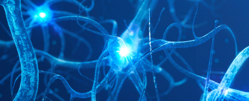 These 4 Distinct Patterns May Signal Alzheimer’s According to Science : ScienceAlert