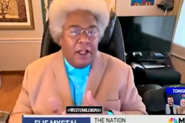 This Moment on MSNBC Shows Why We Need to Get Insane People Out of the ‘News’ Analysis Business (VIDEO) |