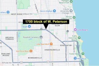 Too young to drive, old enough to carjack: Two 14-year-olds charged with violent Edgewater hijacking