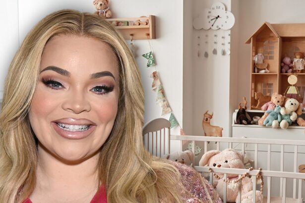 Trisha Paytas Welcomes Baby No. 3 with Husband Moses Hacmon