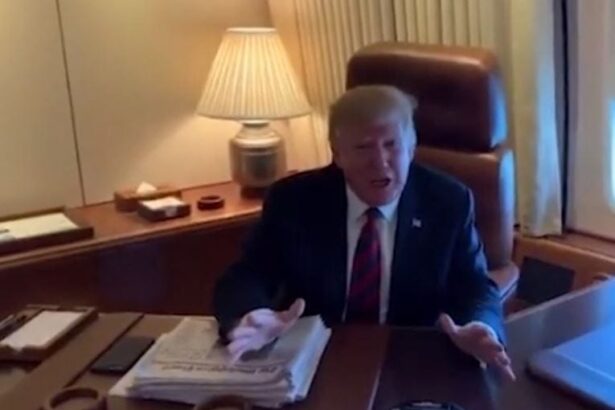 Trump Admits Connection Between Epstein Victim And Himself