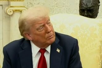 Trump Cognitively Declines In Front Of The World During Meet With NATO Leader