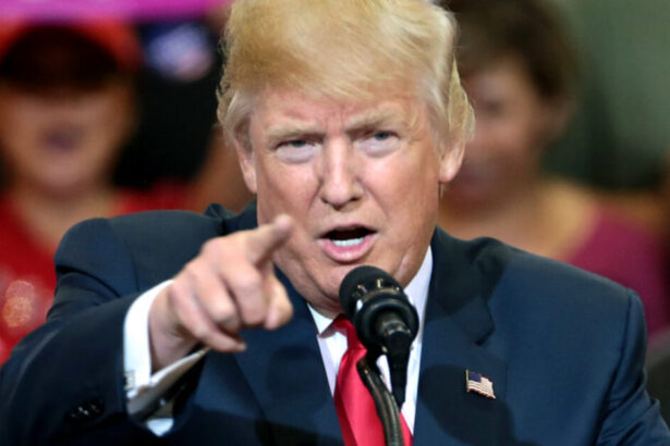 Trump Firings Hit Massive Total: Federal Workforce Plummets By Over 22000 |