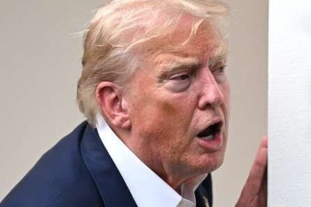 Trump Goes On Wild Repost Rampage With Unhinged Memes Of Obama, Clinton And More