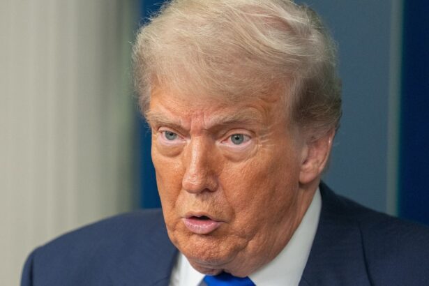 Trump Was Asked About A Key Promise. What Followed Was Pure Gibberish.