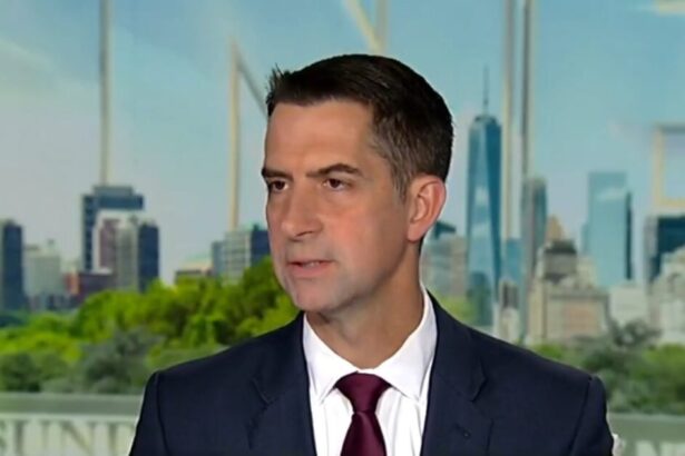 “Trump is Right, Mistakes Were Made That Day” – Senator Tom Cotton on the Butler, PA Assassination Attempt on Trump (VIDEO) |