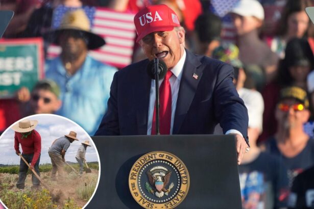 Trump pitches plan allowing farmers to vouch for illegal immigrant workers facing deportation