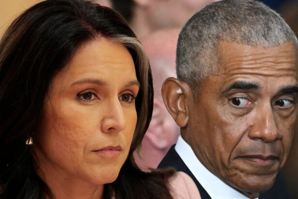Tulsi Gabbard Threatens Obama Admin With Criminal Referrals Over ‘Treasonous Conspiracy’