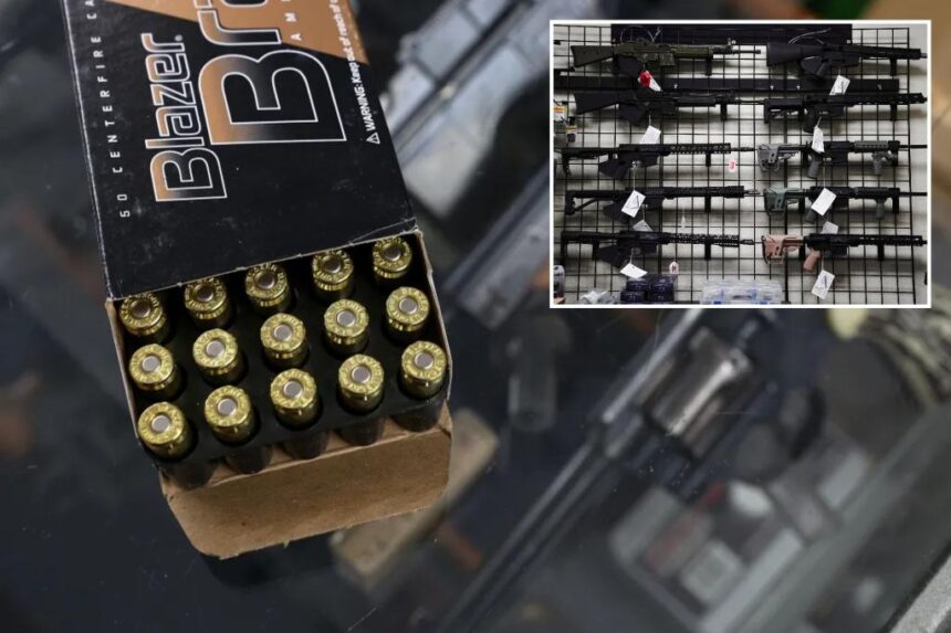 US appeals court makes decision on California ammunition background checks case