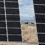 USDA abruptly cancels rural energy grant application window