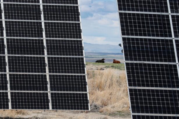 USDA abruptly cancels rural energy grant application window