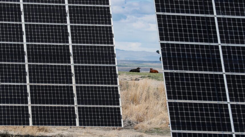 USDA abruptly cancels rural energy grant application window