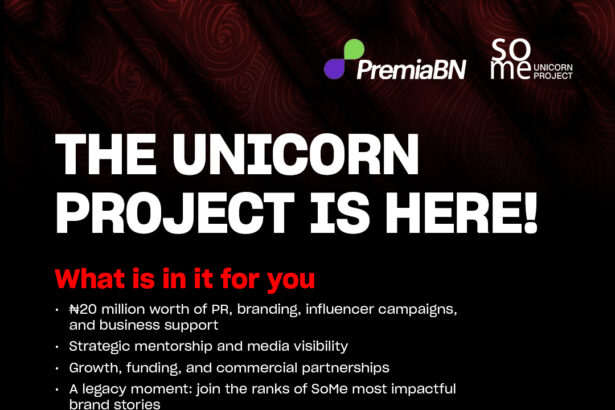 SoMe’s Unicorn Project Supports Women in Business in Nigeria