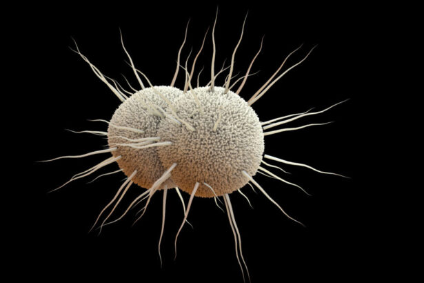 Use of ‘doxy PEP’ to reduce STIs appears to fuel some antibiotic resistance