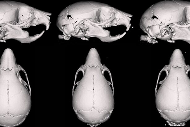 Vape Fluid Warps The Skulls of Fetal Mice, Study Shows : ScienceAlert
