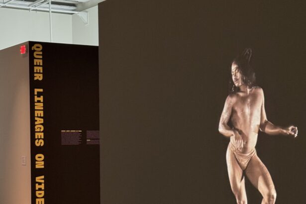 Video Art That Chases the Rainbow