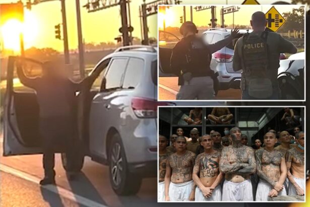 Violent MS-13 kingpin wanted for five murders and another gang member arrested by ICE in Omaha