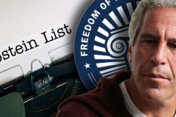 Wait, What? If There Was No Epstein Client List Then Why Did NY Courts Refuse ‘s Request for the List in Based on an Anonymous ‘John Doe’ Who Was On the List? |