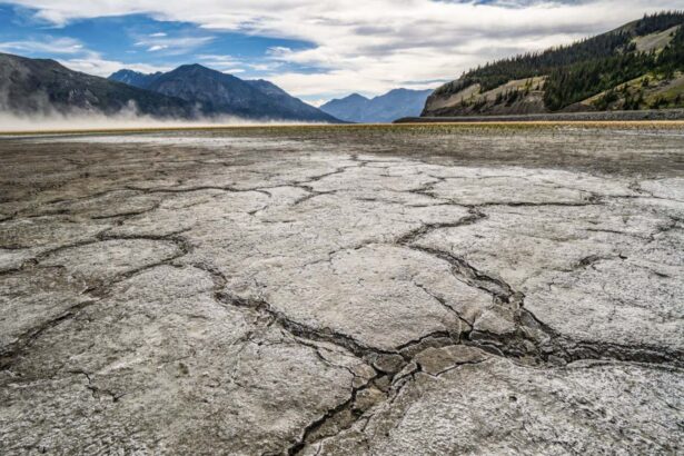We are undergoing unprecedented loss of freshwater across the planet