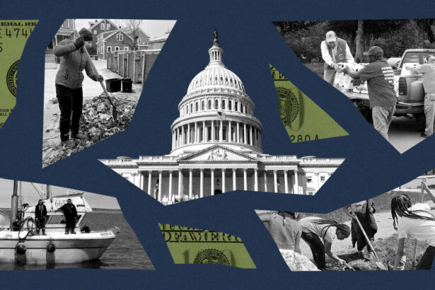 What America lost in Trump’s purge of federal workers and funding