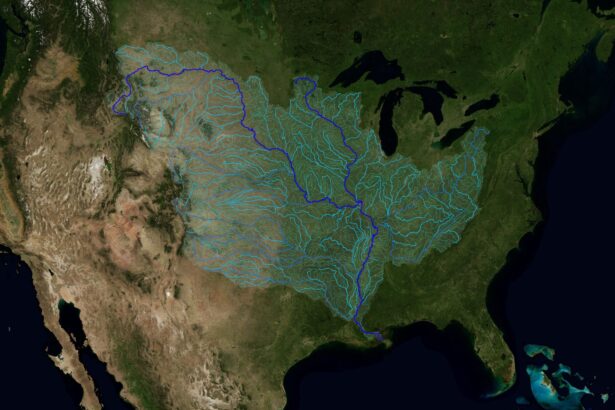 What Do Trump’s Attacks on NOAA Have to Do with the Gulf Dead Zone?