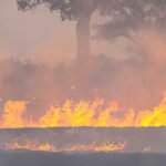 What We’re Watching: Heat, Floods, and Fires Threaten Multiple US Regions While Fossil Fuel Industry Seeks Legal Immunity