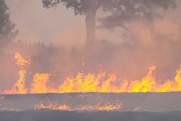 What We’re Watching: Heat, Floods, and Fires Threaten Multiple US Regions While Fossil Fuel Industry Seeks Legal Immunity