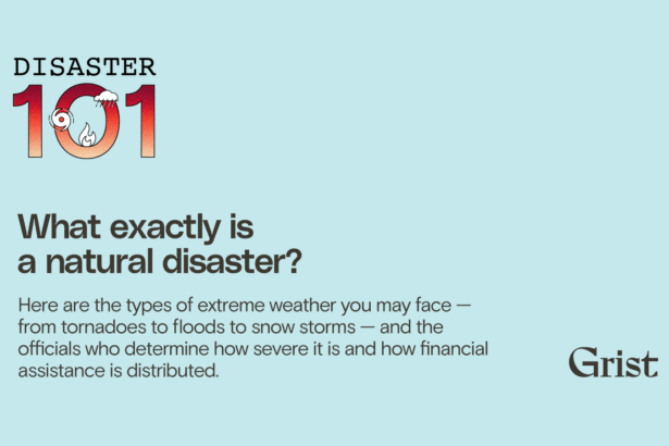 What exactly is a natural disaster?