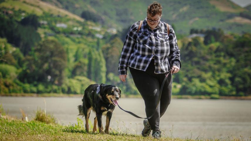 Which dog names lead the pack in Chch?