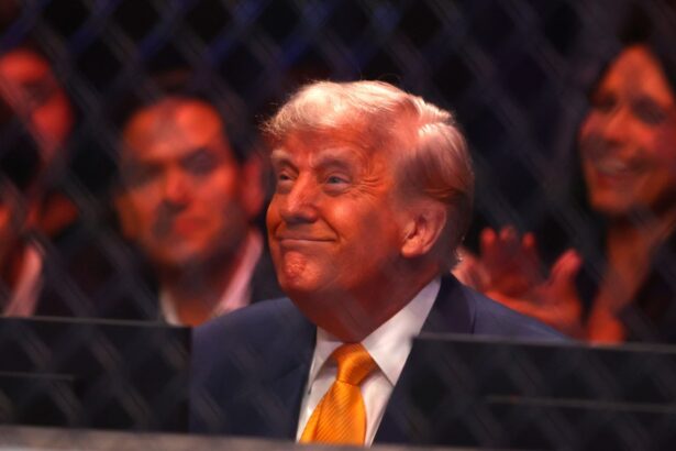 White House Will Host UFC Fight for America 250 Celebration