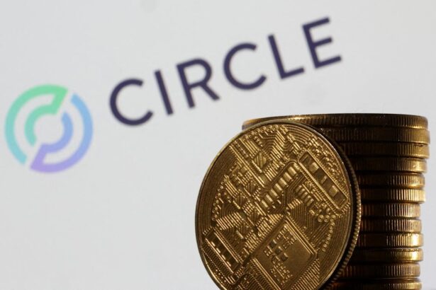 Why stablecoin issuer Circle wants to be a bank