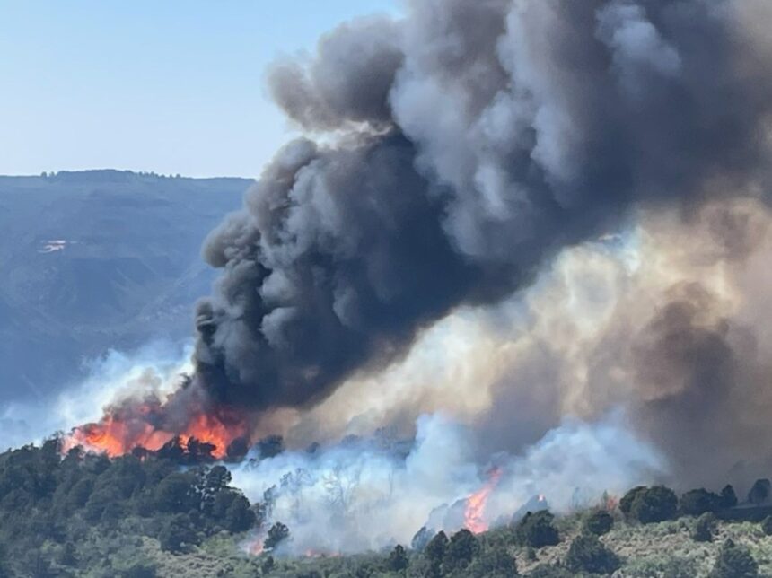 Wildfires ignite in Douglas County, add to damage from western slope blazes