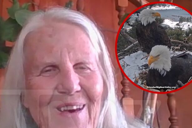 Wildlife Advocate Says Eaglets in Big Bear at Risk Because of 4th of July Fireworks