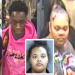 Woman, 4 juveniles charged after cops release images of Red Line robbers