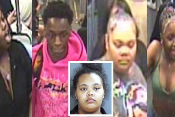 Woman, 4 juveniles charged after cops release images of Red Line robbers
