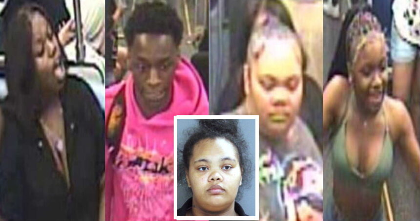 Woman, 4 juveniles charged after cops release images of Red Line robbers