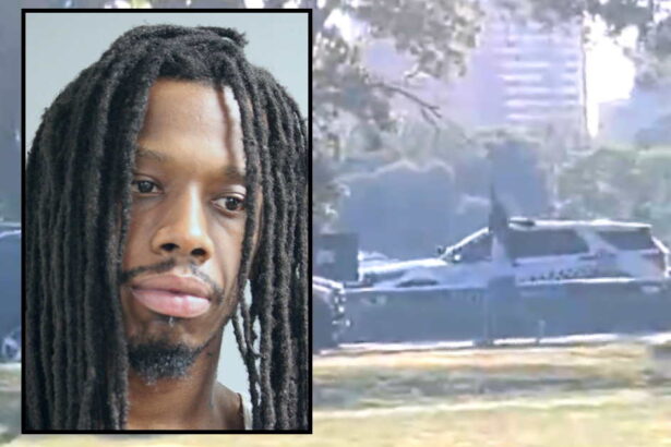 Woman mugged near Belmont Harbor, suspect found hiding in Lakeshore Drive median