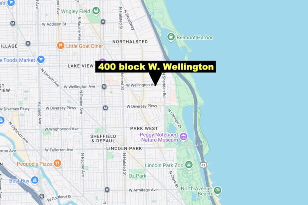 Woman shot during armed robbery in Lakeview