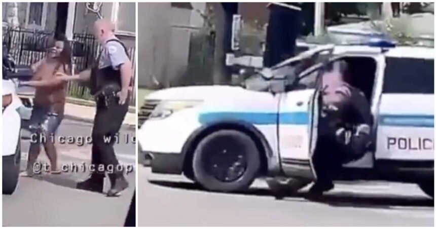 Woman who ran over Chicago police officer with his own squad car files to change her name