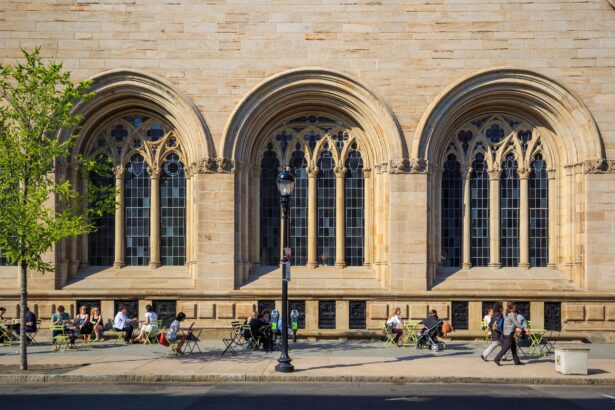 Yale Art Gallery Withdraws Federal Grant Requests After Trump DEI Ban