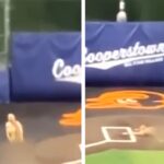 Youth Baseball Coaches Fired After Going Streaking At Ballpark