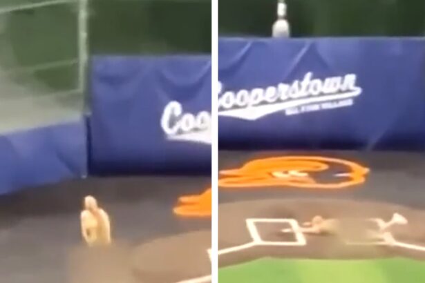 Youth Baseball Coaches Fired After Going Streaking At Ballpark