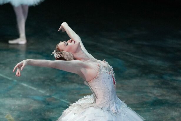 American Ballet Theatre’s Gillian Murphy Left It All on the Stage