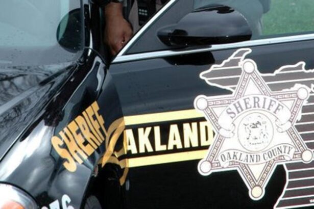 ‘Attempting to live his own grand theft auto’