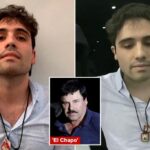 ‘El Chapo’s’ son Ovidio Guzman Lopez to plead guilty in US drug trafficking case