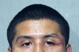 ‘Predator’: Chicago man detained in child pornography, sex abuse case