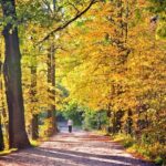 101 Inspirational September Quotes for a Motivated and Happy Start to Your Fall Season