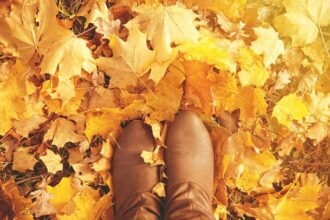 101 Short Fall Quotes for a Positive, Motivated and Happy Autumn Season